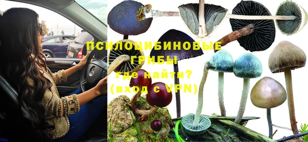 дурь Балахна